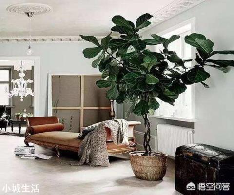 家装如何巧妙设计隔断？