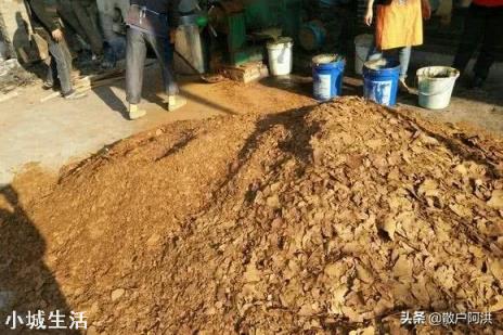 农村榨油剩下的油渣，为啥能抵榨油钱？有啥用处？