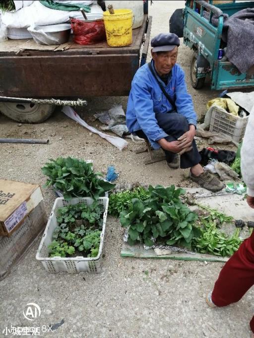 为什么农村在移栽蔬菜秧苗的时候会多带些泥土？