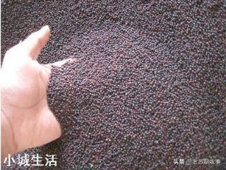 农村菜籽油怎么增加香味？