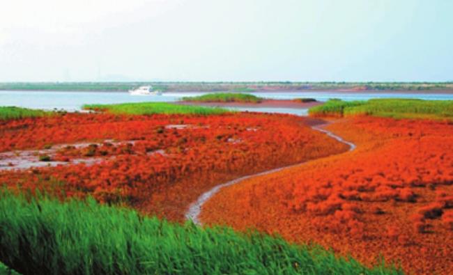 “2019华侨城文化旅游节”华侨城北方集团携七大景区唱响“欢乐在一起”
