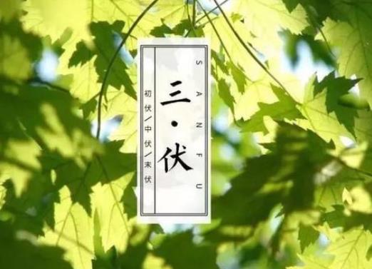 使用三伏贴要注意什么事项？三伏贴连续贴3年还继续贴吗