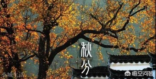 秋分过后，养生应注意什么？