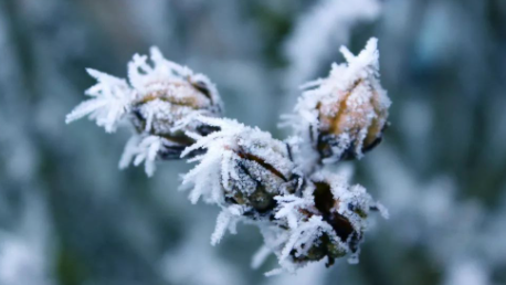小雪節氣一定會下雪嗎 小雪節氣是幾點幾分2021