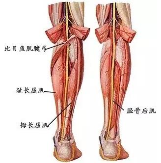 点燃您的靓丽丰采 天津河东美莱医院整形好么