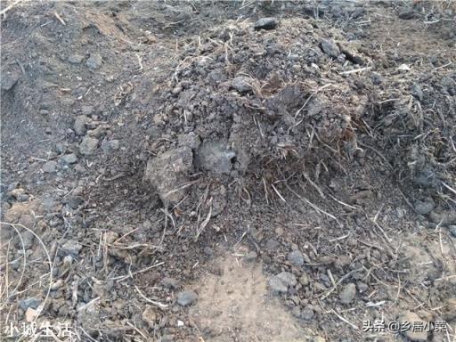 农村种庄稼，土地施肥依据是啥？经验还是科学？