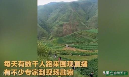 如果贵州龙吟最后查明是真的，会对社会造成怎样的影响？