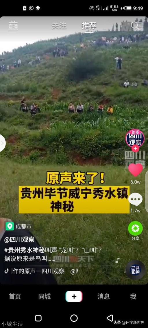 如果贵州龙吟最后查明是真的，会对社会造成怎样的影响？
