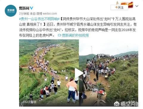 如果贵州龙吟最后查明是真的，会对社会造成怎样的影响？