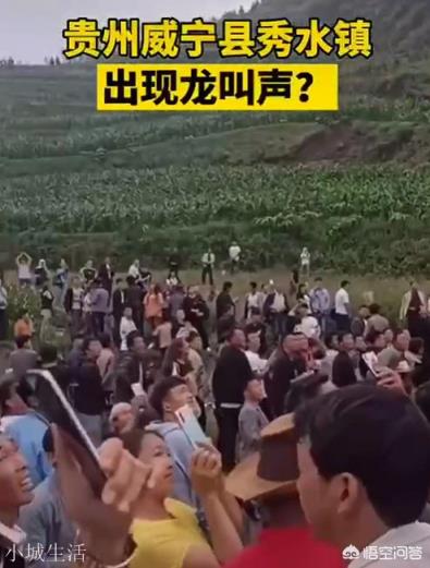 如果贵州龙吟最后查明是真的，会对社会造成怎样的影响？