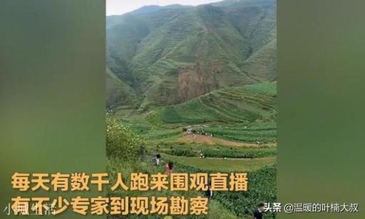 如果贵州龙吟最后查明是真的，会对社会造成怎样的影响？