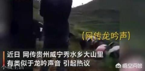 如果贵州龙吟最后查明是真的，会对社会造成怎样的影响？