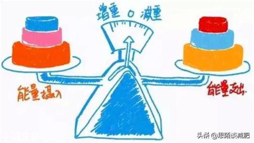 你见过身边减肥成功而且不反弹的人吗，都使用了什么方法？