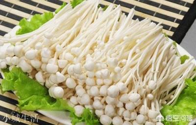 为什么胃液都消化不了金针菇？