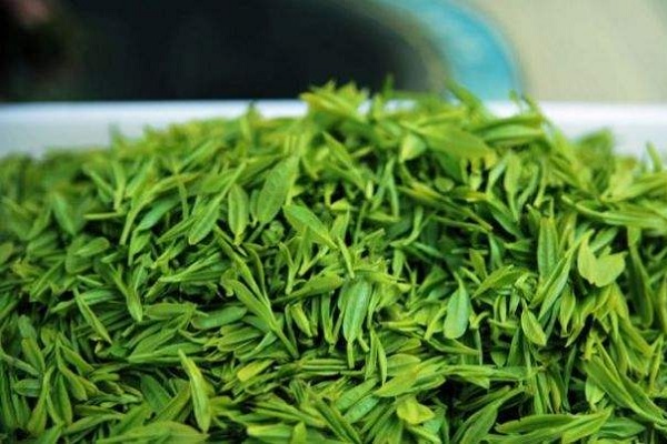 刺角芽晒干泡茶的功效与作用