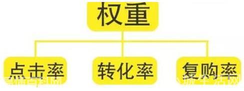 权重是什么意思(权重的网络用语是什么梗)