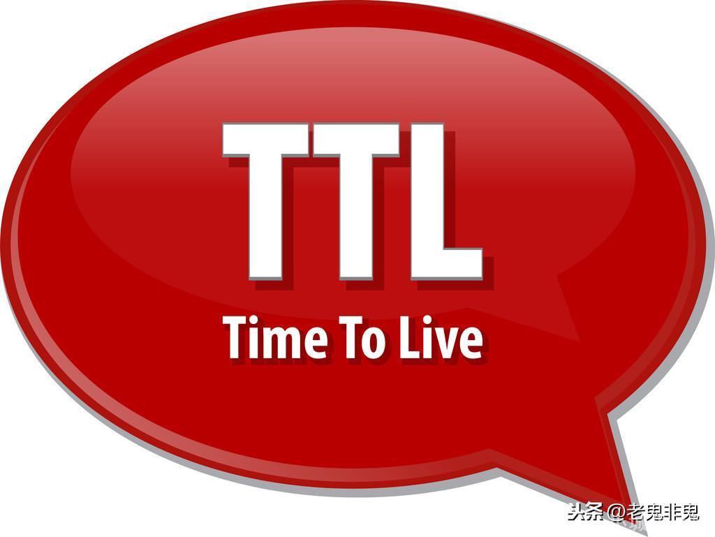 ttl是什么意思(ttl的网络用语是什么梗)