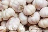 农民刚刚收获的大蒜，能不能在太阳下面暴晒？为什么？
