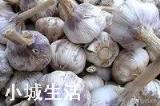 农民刚刚收获的大蒜，能不能在太阳下面暴晒？为什么？