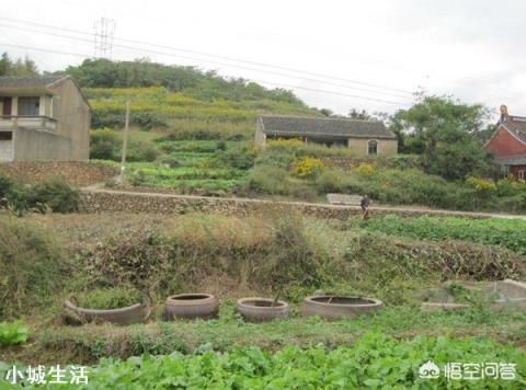人粪尿做肥料使用的时候,需要注意什么问题?