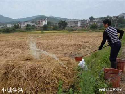 人粪尿做肥料使用的时候,需要注意什么问题?