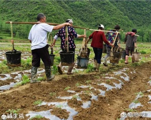 人粪尿做肥料使用的时候,需要注意什么问题?