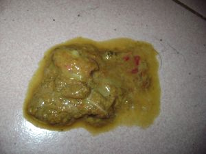 猫咪腹泻老不好,猫感染性腹泻及诊疗!
