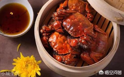 秋天喝什么酒好？
