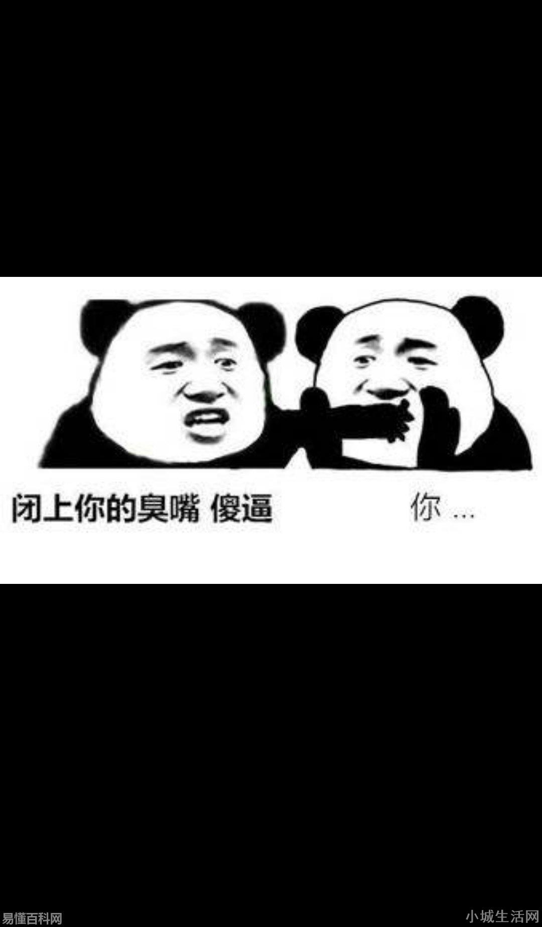 宝批龙什么意思(宝批龙网络用语是什么梗)