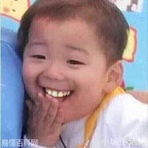 宝批龙什么意思(宝批龙网络用语是什么梗)