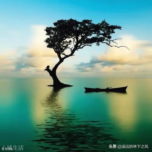 你知道有哪些精致的反驳其他人的句子?