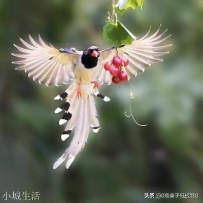 你知道有哪些精致的反驳其他人的句子?