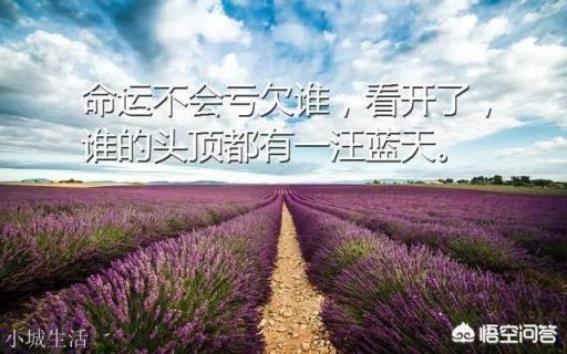 你知道有哪些精致的反驳其他人的句子?