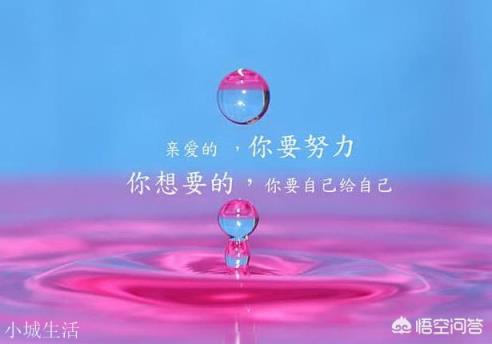 你知道有哪些精致的反驳其他人的句子?