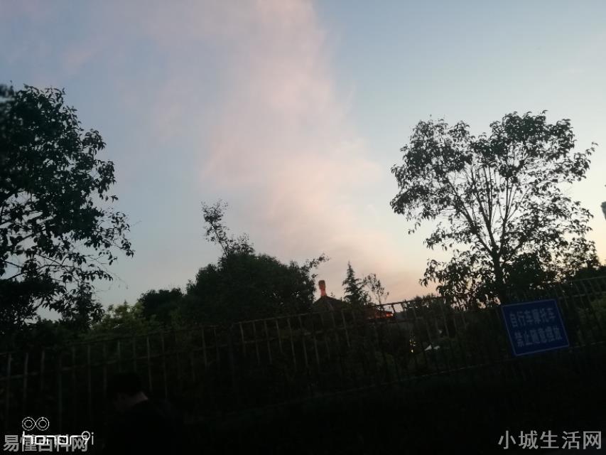 得偿所愿是什么意思(得偿所愿的网络用语是什么梗)
