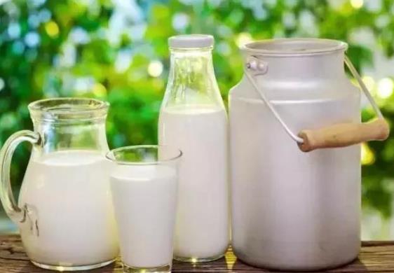 现挤的鲜牛奶能冷冻吗？鲜牛奶可以做成酸奶吗？