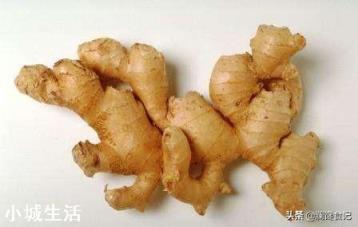 在超市里买的生姜发芽了,可以栽在花盆里吗?怎样栽?