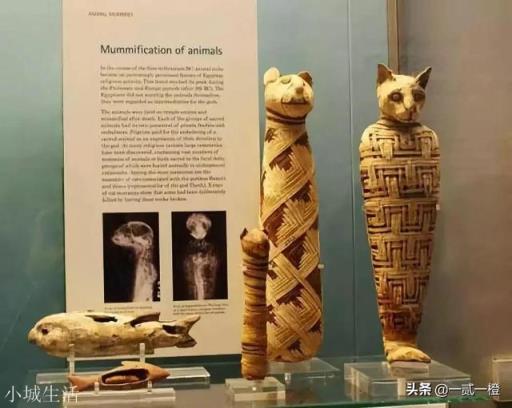 世界上12屬相是根據什么地方發源而起？