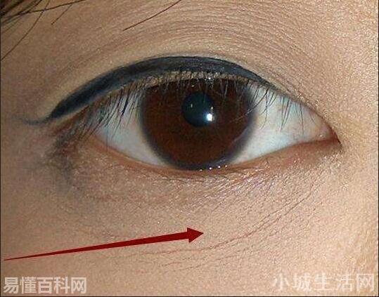 卡粉是什么意思(卡粉的网络用语是什么梗)