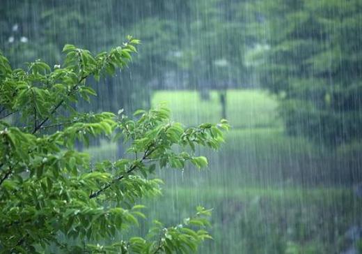 2021梅雨季節怎樣防止家里發霉？2021年武漢梅雨季節是幾月份
