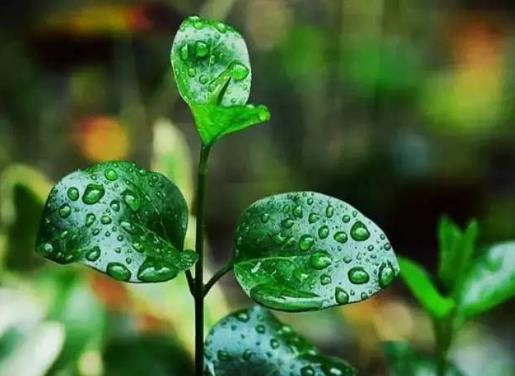 2021梅雨季節怎樣防止家里發霉？2021年武漢梅雨季節是幾月份