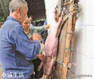 如果你家要把祖上阉鸡阉猪技术传给你，你愿意接班吗？