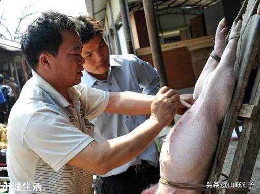 如果你家要把祖上阉鸡阉猪技术传给你，你愿意接班吗？