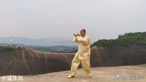 真正的传统太极拳具备什么特点？