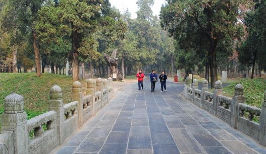 孔林从古至今已延续约2500年 世界持续时间最长的人族墓群