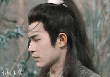 《杨家将演义》小说，武功最厉害的是杨七郎吗？有何依据呢？