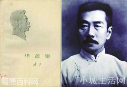 华盖是什么意思(华盖的网络用语是什么梗)