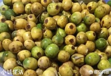 农村比较好吃的野果有什么？大概什么季节成熟？