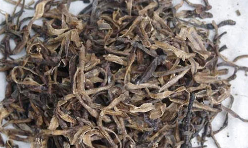适宜猫咪的平肝明目药有哪些?宠主必看!
