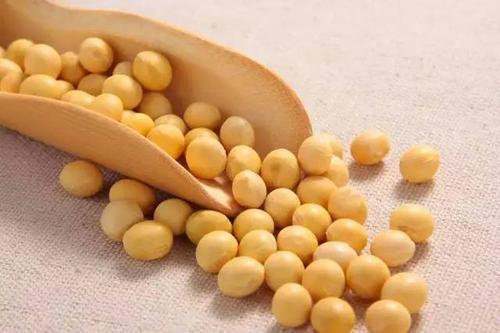 黄豆花生豆浆功效是什么